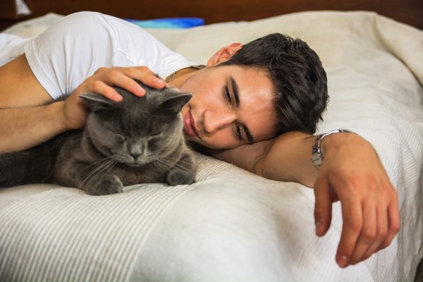 мужчина лежит с серым котом