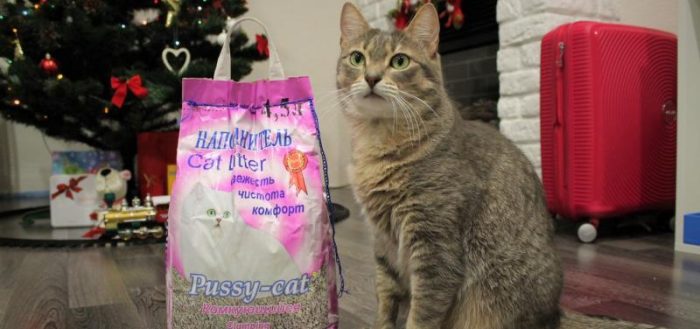 Наполнитель Pussy-Cat и кот