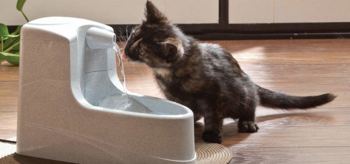 поилка для кошки фонтан