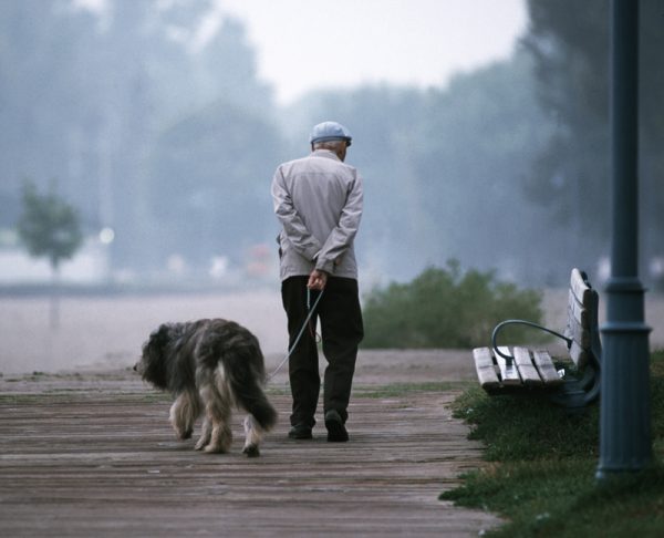 Пожилой мужчина с собакой