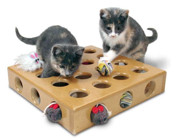 Котята и коробка с игрушками