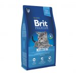 Brit premium cat kitten