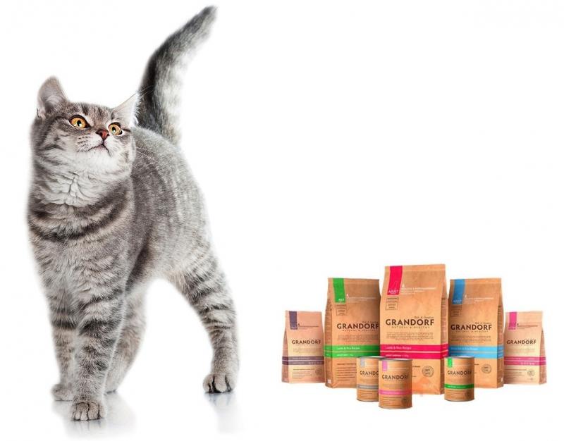 Корм для кошек «Грандорф»: какими преимуществами обладают холистики