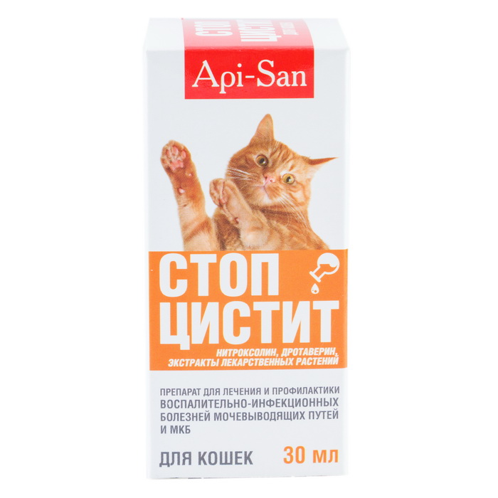Цистит у кошки лечение