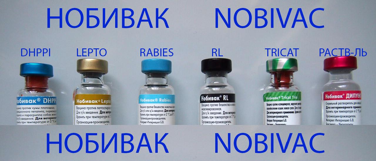 Какая вакцина для кошек лучше. Комплексная вакцина для собак Нобивак. Нобивак DHPPI Lepto Rabies. Вакцины для собак Нобивак DHPPI+Lepto+Rabies. Вакцина Нобивак Rabies для собак.