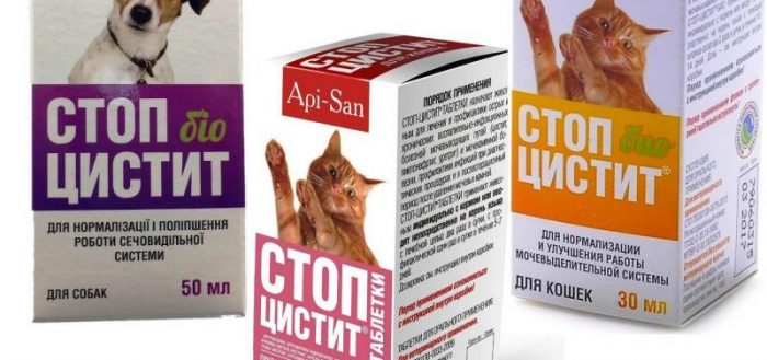 Стоп Цистит для кошек и котов: инструкция по применению таблеток и суспензий, отзывы