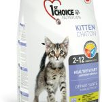1st Choice Kitten