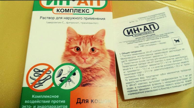 Ин-Ап Комплекс для кошек: защита питомцев от всех паразитов