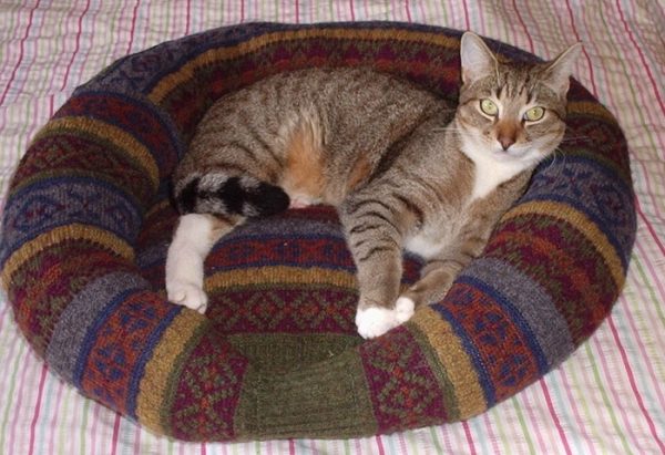 Лежанка для кошки из старого свитера