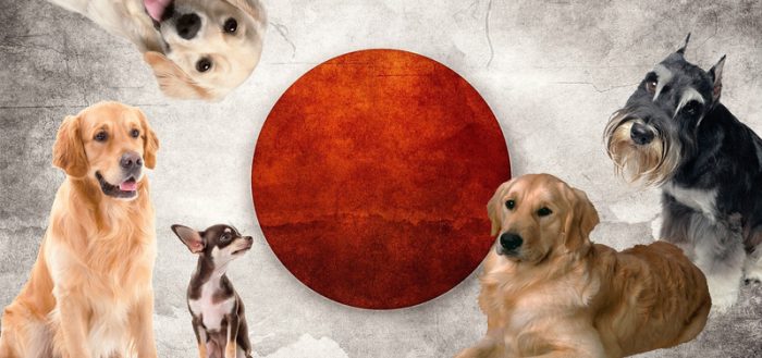 Флаг Японии и собаки