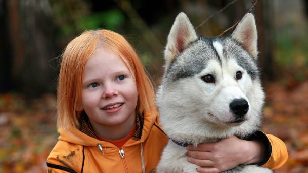 Ребёнок и собака